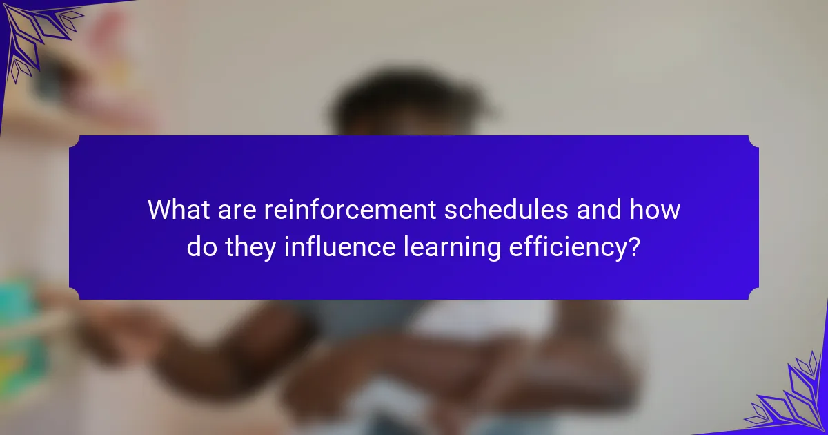 What are reinforcement schedules and how do they influence learning efficiency?