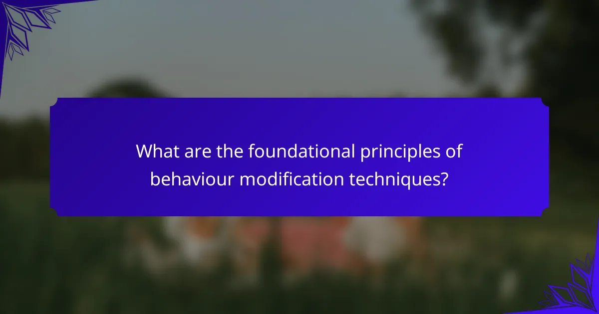 What are the foundational principles of behaviour modification techniques?